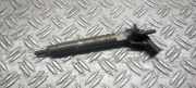 Einspritzdüse MERCEDES-BENZ E (W210) E 200 Kompressor (210.048) 6460701187