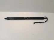 Heckklappe Gasdruckfeder rechts BMW 3 Gran Turismo (F34) 320 d 4867212