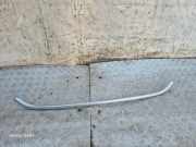 Front Bumper Center Moulding FORD KUGA I 2.0 TDCi 8V418C436CB