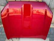 Motorhaube TOYOTA LAND CRUISER (_J15_) 2.8 D-4D (GDJ150_, GDJ155_)