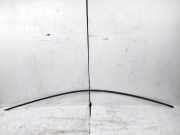 Dachleiste links VW ID.3 (E11) 1st 10A853701B