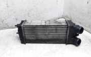 Ladeluftkühler CITROËN XSARA PICASSO (N68) 1.6 HDi 874964GJ