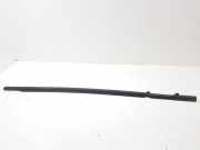 Zier-/Schutzleiste für Türscheibe Peugeot 807 ()