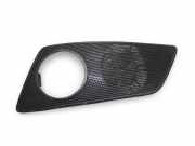 Lautsprecherabdeckung SKODA OCTAVIAII (1Z3) 2.0 TDI RS 1Z1867435