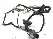 Kabel der vorderen linken Tür NISSAN 350 Z Coupe (Z33) 3.5 24125CD401