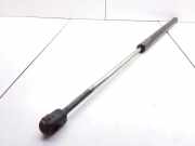 Heckklappe Gasdruckfeder links FORD FOCUS Turnier (DNW) 1.8 Turbo DI / TDDi XS41N406A10AE