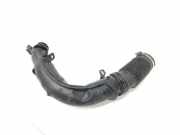 Luftdüsengehäuse Citroen DS5 () M06021A152