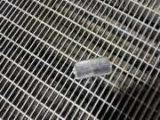 Kennzeichenbeleuchtung CITROËN BERLINGO (K9) 1.5 BlueHDi 130 71907190