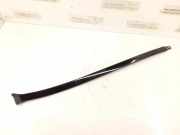 Zierleiste Windschutzscheibe Frontscheibe MERCEDES-BENZ C (W204) C 200 CDI (204.001) 2046901962