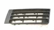 Kühlergrill unten Audi A4 Avant (8D, B5) 02028800000
