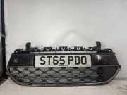 Gitter vorne unten CITROËN C4 PICASSO II 1.6 HDi / BlueHDi 115 AA36216279