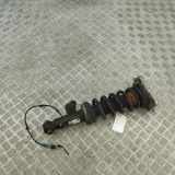 Stoßdämpfer hinten links