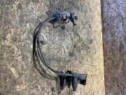 Ersatzradhalter Fiat Ducato Kasten (250)