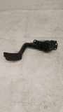 Gaspedal RENAULT MASTER III Furgon (FV) 2.3 dCi 100 [RWD] (FV0B, FV0C, FV0D) 8200672371C