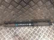 Stoßdämpfer hinten rechts