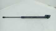 Heckklappe Gasdruckfeder rechts CHEVROLET CAPTIVA (C100, C140) 2.0 D 4WD 96830123