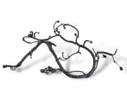 Motor Kabelbaum FORD TRANSIT Furgon 2.2 TDCi P8FA