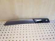 Türpolsterverkleidung hinten rechts VW PASSAT B7 (362) 1.6 TDI 3AA867450