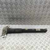 Stoßdämpfer hinten links JAGUAR I-PACE (X590) EV400 AWD J9D3-18080-CB