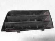 Gitter vorne unten RENAULT MEGANE II Estate (KM0/1_) 1.9 dCi D8200114157