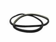 Türdichtung Renault Laguna III (T)