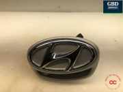 Türgriff hinten Hyundai Ioniq (AE) 81755G2000T9Y