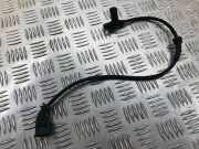 Sensor für ABS rechts vorne Seat Alhambra I (7V) 4B0973712