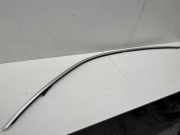 Dachleiste links BMW 5 Gran Turismo (F07) 530 d