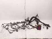 Kabel Motor Audi A8 (4H) 4H2971713BQ