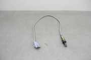 Sauerstoffsensor (Lambdasensor)