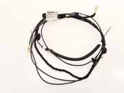 Antenne RENAULT MEGANE III Coupe (DZ0/1_) 1.5 dCi (DZ09, DZ0D, DZ1F, DZ1G) 282430050R 7580456