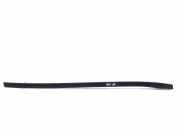 Vertikale Verkleidung auf der linken Seite der Windschutzscheibe MERCEDES-BENZ R (W251, V251) R 320 CDI 4-matic (251.022, 251.122) A2516904962