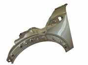 Kotflügel vorne links