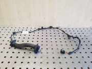 Kabel Tür Dacia Sandero I (BS) 241264816R