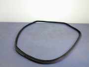 Türgummi links vorne BMW X5 (F15, F85)