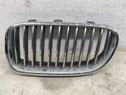 Ziergitter BMW 5er Touring (F11) 7200727