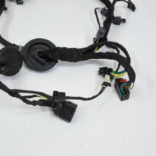 Kabel der vorderen linken Tür AUDI A8 D4 (4H_) 3.0 TFSI quattro 4H0971029NC Bild Kabel der vorderen linken Tür AUDI A8 D4 (4H_) 3.0 TFSI quattro 4H0971029NC