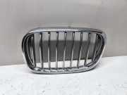 Vorderer oberer Gitter BMW 7 (G11, G12) 750 d, Ld xDrive 7357011