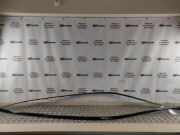 Dachleiste links MERCEDES-BENZ S (W222, V222, X222) S 350 BlueTEC / d (222.132, 222.032, 222.123) A2226900162 A2226900262