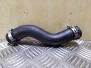 Entlüftungsschlauch LAND ROVER FREELANDER 2 (L359) 2.2 TD4 4x4