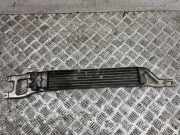 Ölkühler für Automatikgetriebe Mercedes-Benz A-Klasse (W169) A1695000200