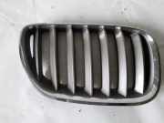 Kühlergrill komplett BMW X5 (E53) 7124816