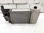 Ladeluftkühler TOYOTA VITZ (_P13_) 1.4 D-4D (NLP130_) 0N070