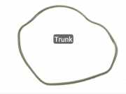 Zierleiste Rolls-Royce Ghost (RR4) 51767198477