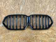 Vorderer oberer Gitter BMW X6(G06) (G06, F96) xDrive 30 d 30030291