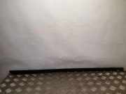 Türdichtungsgummi vorne links