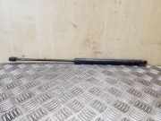 Heckklappe Gasdruckfeder rechts FORD FOCUS IV (HN) 1.0 EcoBoost BM51A406A10AD