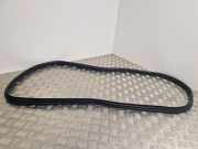 Türgummi rechts hinten Renault Clio III (BR0/1, CR0/1)