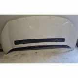 Motorhaube CITROËN JUMPY Furgon 2.0 i