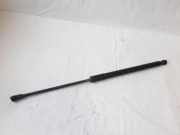 Heckklappe Gasdruckfeder rechts BMW 1 (F21) 116 d 8135620455N 51247239871